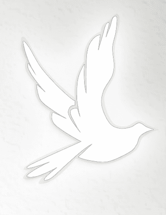 Winford Adams Obituary